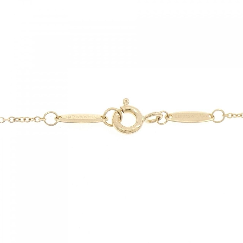 Dây chuyền Tiffany By The Yard - Hàng hiệu Authentic 843579