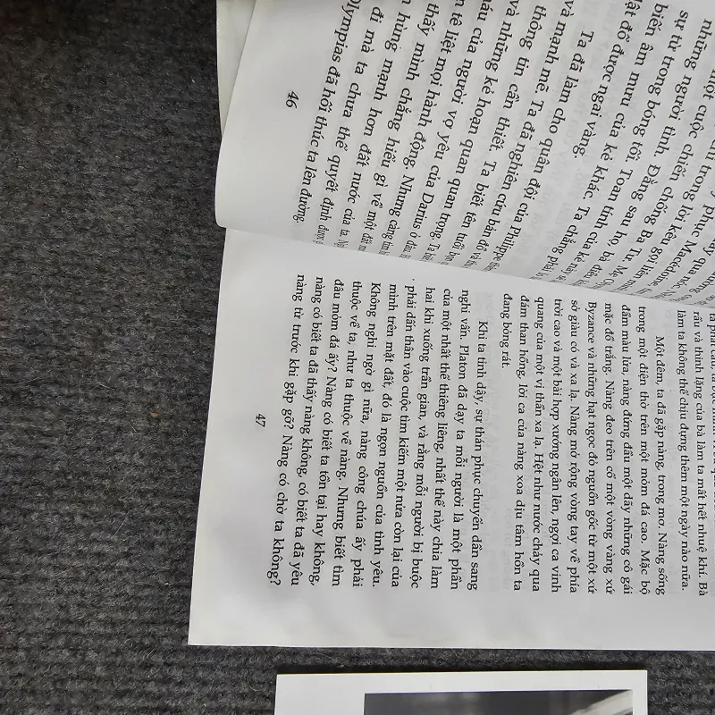 Hoàng đế và giai nhân - sơn táp 974578