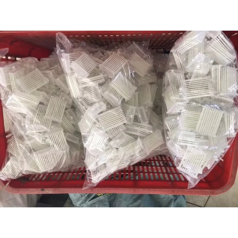 Dọ dê cho chim 494591