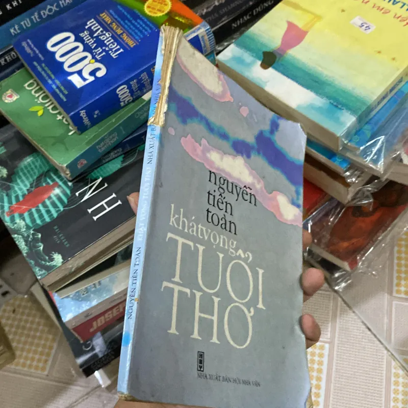 Khát Vọng Tuổi Thơ của tác giả Nguyễn Tiến Toàn 1011476