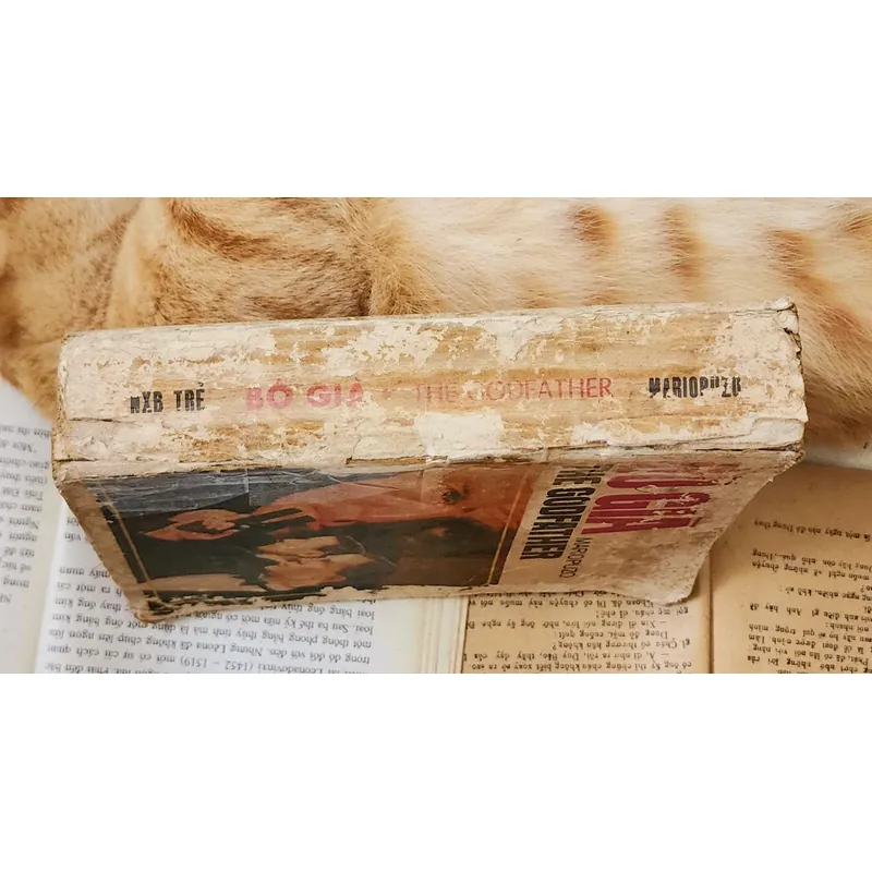 Tác phẩm văn học kinh điển của Mario Puzo: BỐ GIÀ 716941