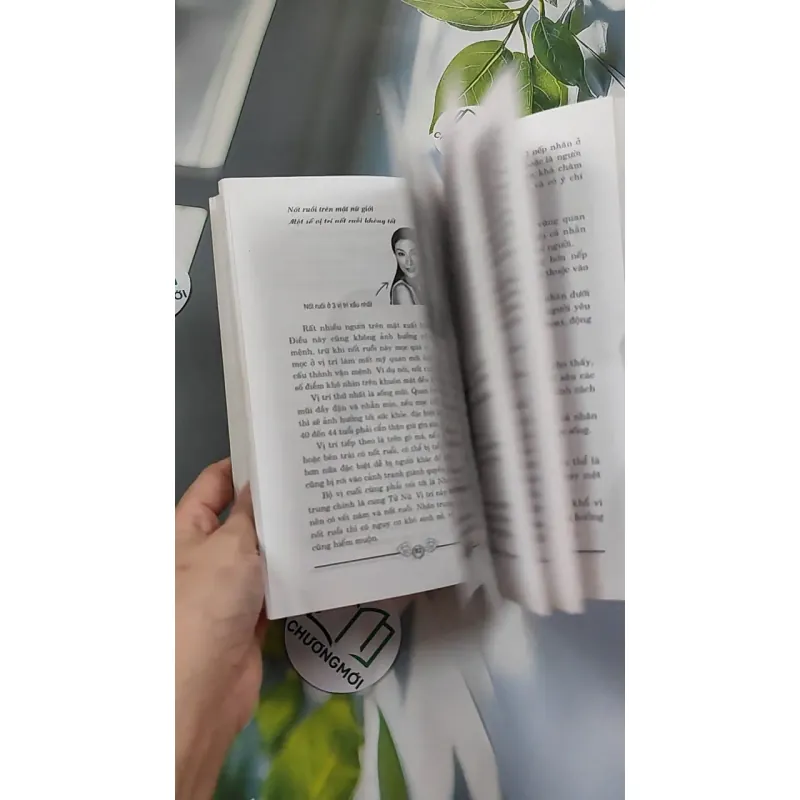 Giải Mã Nốt Ruồi - Mê Linh 776116