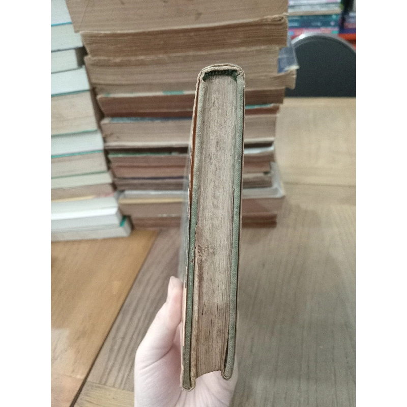 Champ sauvage - Vadim Andréev 787415