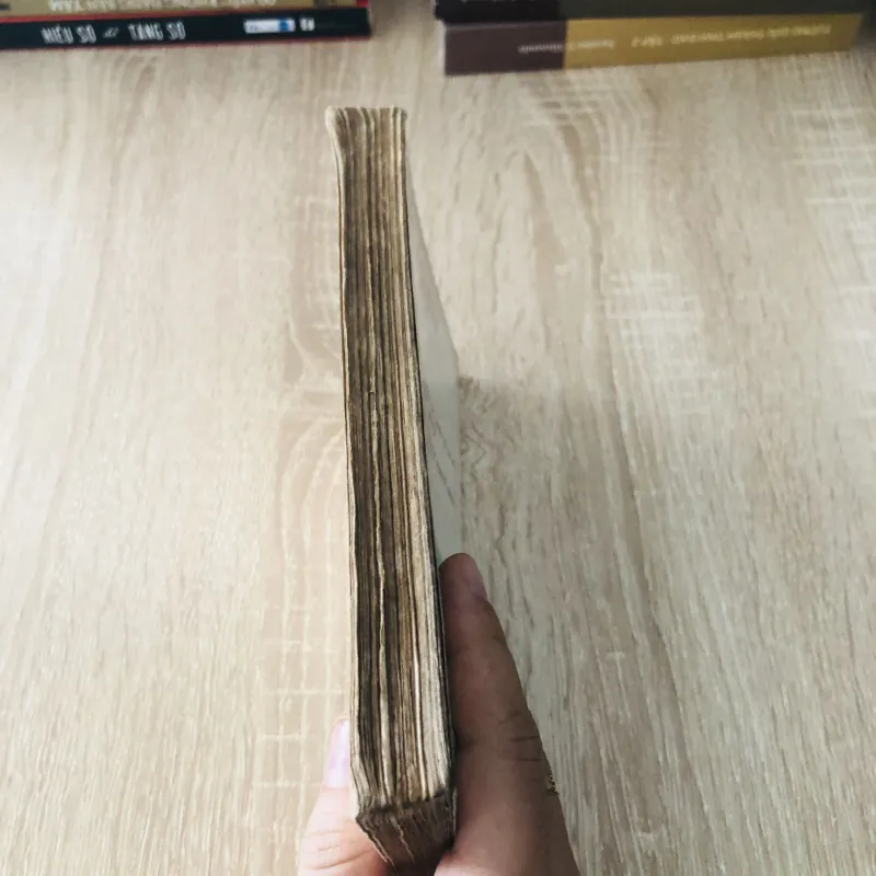 CHÌA KHOÁ VÀNG CHO NGƯỜI TRẮNG TAY LẬP NGHIỆP ( Phạm Côn Sơn) 1020448