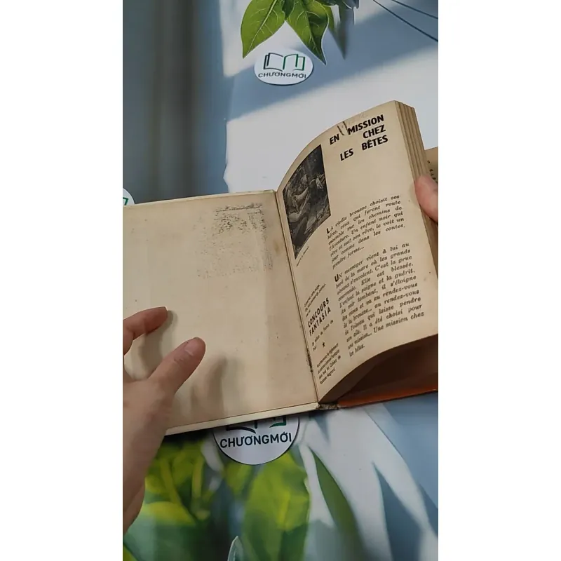 [MIỄN PHÍ BỌC SÁCH] En mission chez les bêtes - Pâquerette de Quénetain 749582