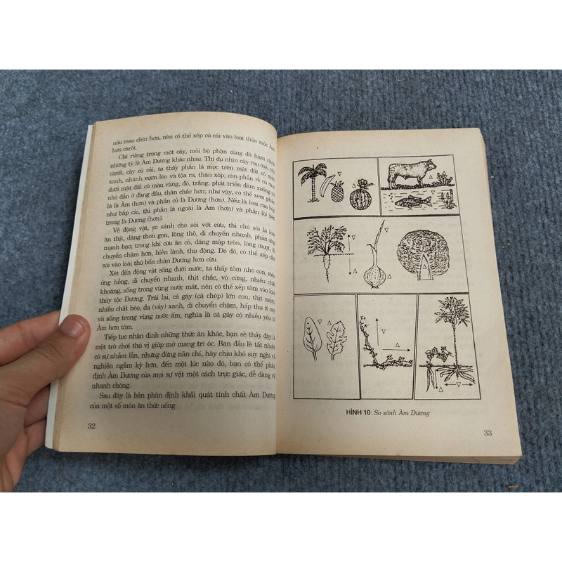 PHƯƠNG PHÁP THỰC DƯỠNG OHSAWA 469920