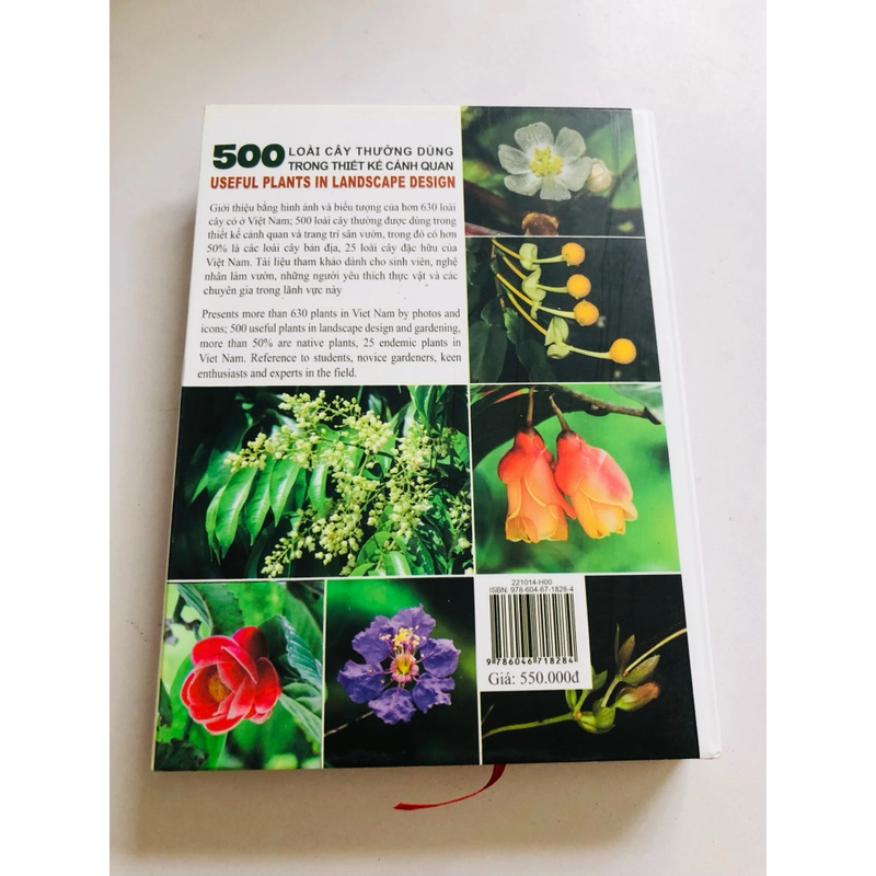 📚 500 LOÀI CÂY THƯỜNG DÙNG TRONG THIẾT KẾ CẢNH QUAN – Đinh Quang Diệp 519812
