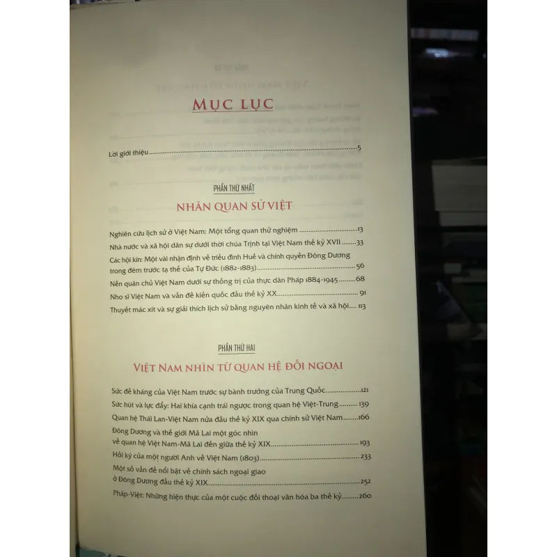 Việt Nam vận hội - Nguyễn Thế Anh 748996