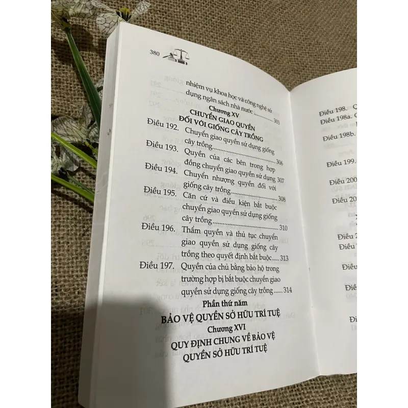  luật  Sở hữu trí tuệ -340 trang  797695