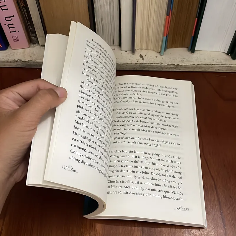 II Sách Phật Giáo: Thiền Và Thuật Nhận Thức - SUSAN BLACKMORE - 2015 573437