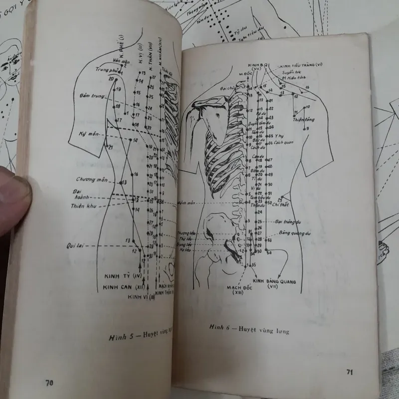Bấm huyệt chữa bệnh Tập 1. B.s. Chu Quốc Trường...in năm 1987 728427
