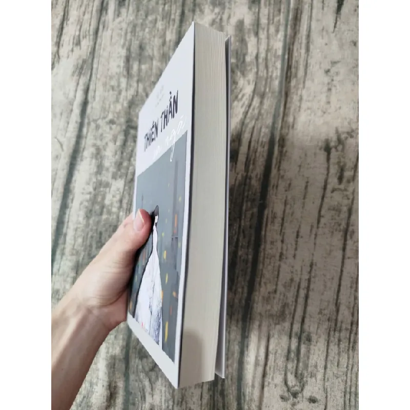 Thiên thần sa ngã Tào Đình TSTK1908 VĂN HỌC 339482