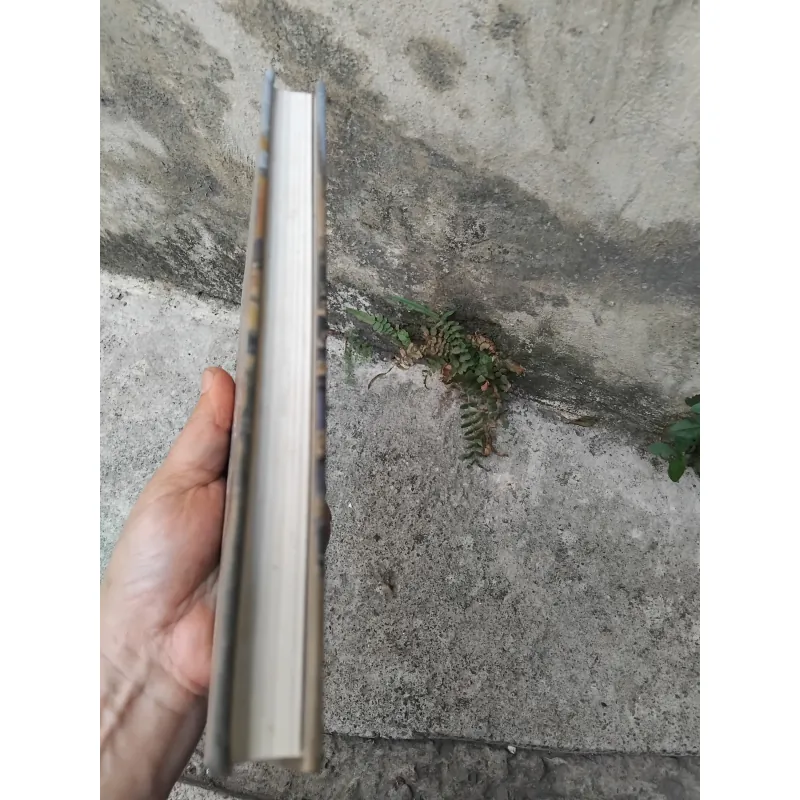 Ngọn lửa Nga tập thơ của Nikolai Rubtsov 1003435