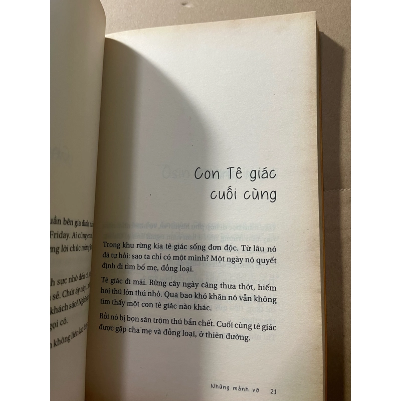 Những mãnh vỡ 524379