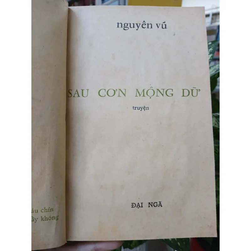 SAU CƠN MỘNG DỮ - NGUYÊN VŨ 758437