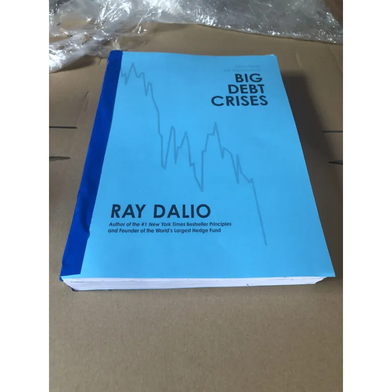 ( BẢN DỊCH TIẾNG Việt ) sách BIG DEBT CRISES - RAY DALIO 977804