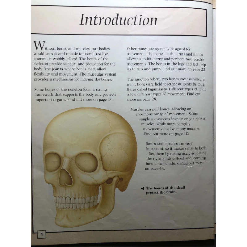 The Skeleton and Muscular System BÌA CỨNG mới 80% bẩn nhẹ Carol Ballard HPB2707 NGOẠI VĂN 351743