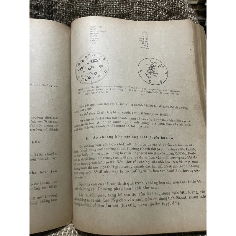 Một số phương pháp nghiên cứu sinh vật học 2 -320 trang khổ lớn;1976 1009228