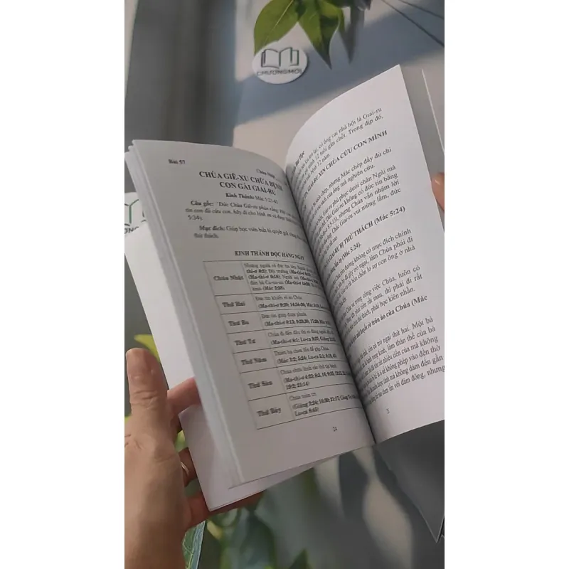 Bài Học Trường Chúa Nhật: Bốn Sách Phúc Âm - Học Viên 3 928515