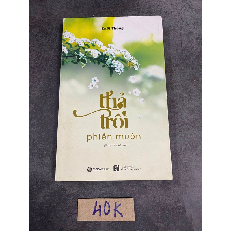 Thả trôi phiền muộn -suối thông 520956
