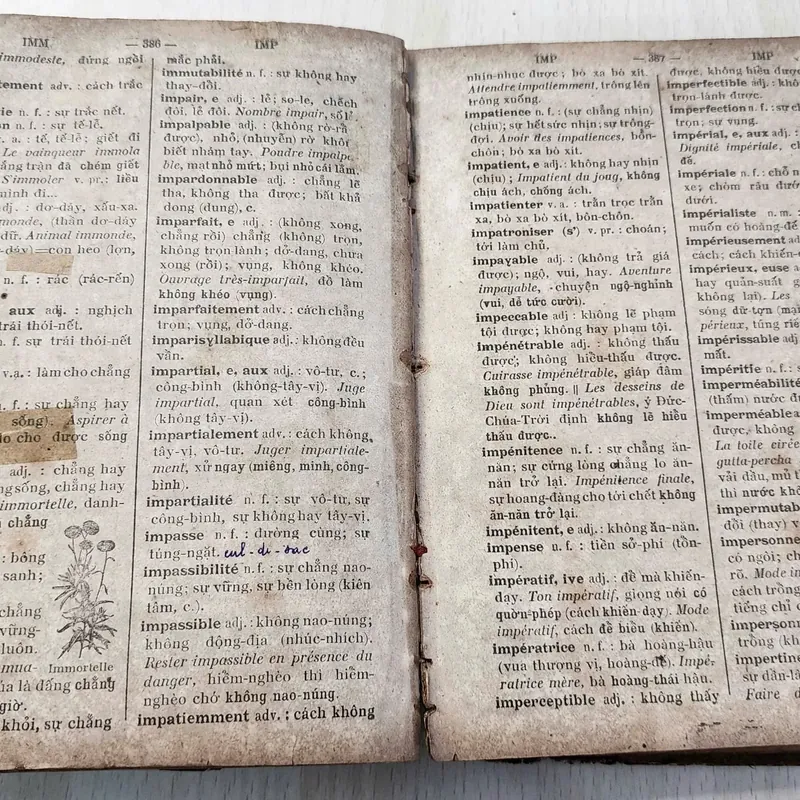 PETIT DICTIONNAIRE FRANCAIS - ANNAMITE
par J.-B.-P TRƯƠNG - VĨNH - KÝ
 1920 562054