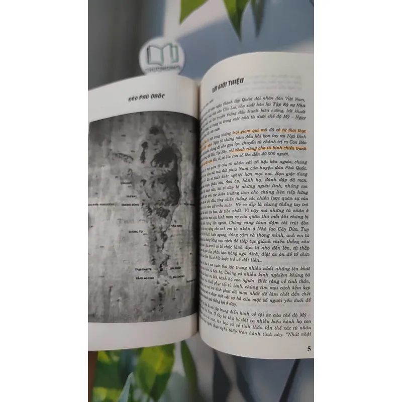 Nhà Lao Cây Dừa - Chu Lai 798338