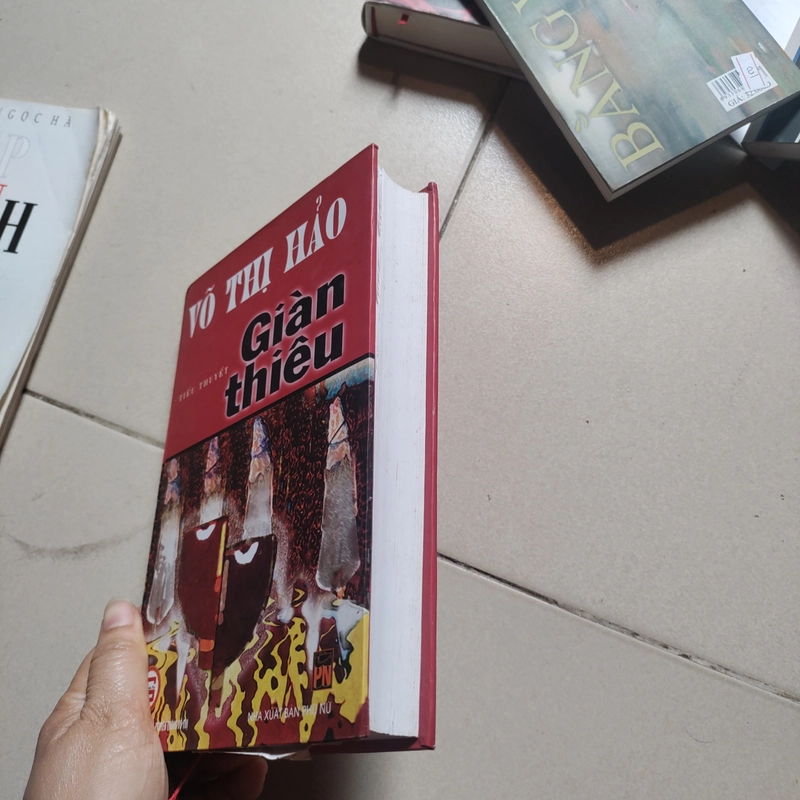 Tiểu thuyết Giàn Thiêu của Võ Thị Hảo 471964