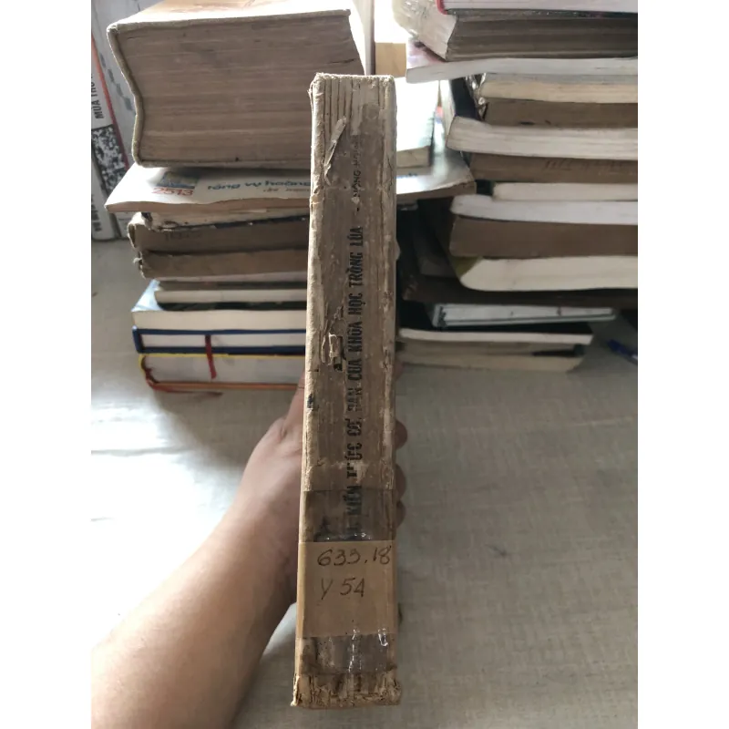 Những kiến thức cơ bản của khoa học trồng lúa 975867