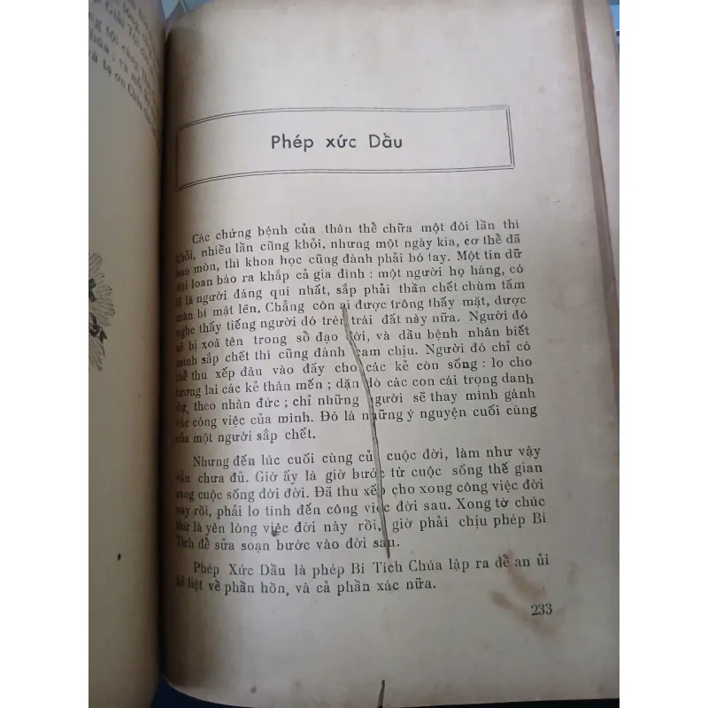 HỘI THÁNH CÔNG GIÁO - TÂM NGỌC 936571