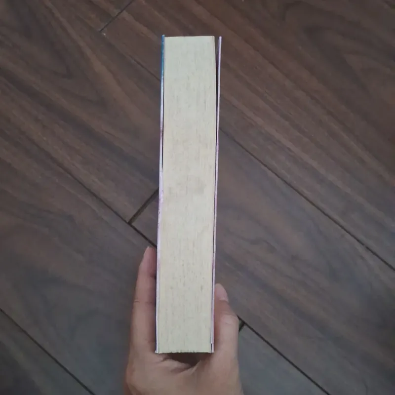 Em đứng trên cầu ngắm phong cảnh, người đứng trên lầu ngắn lại en 706300