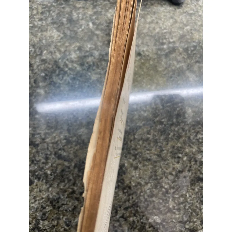 Vùng đất sôi động Nguyễn Trần Thiết xb 1985 713327