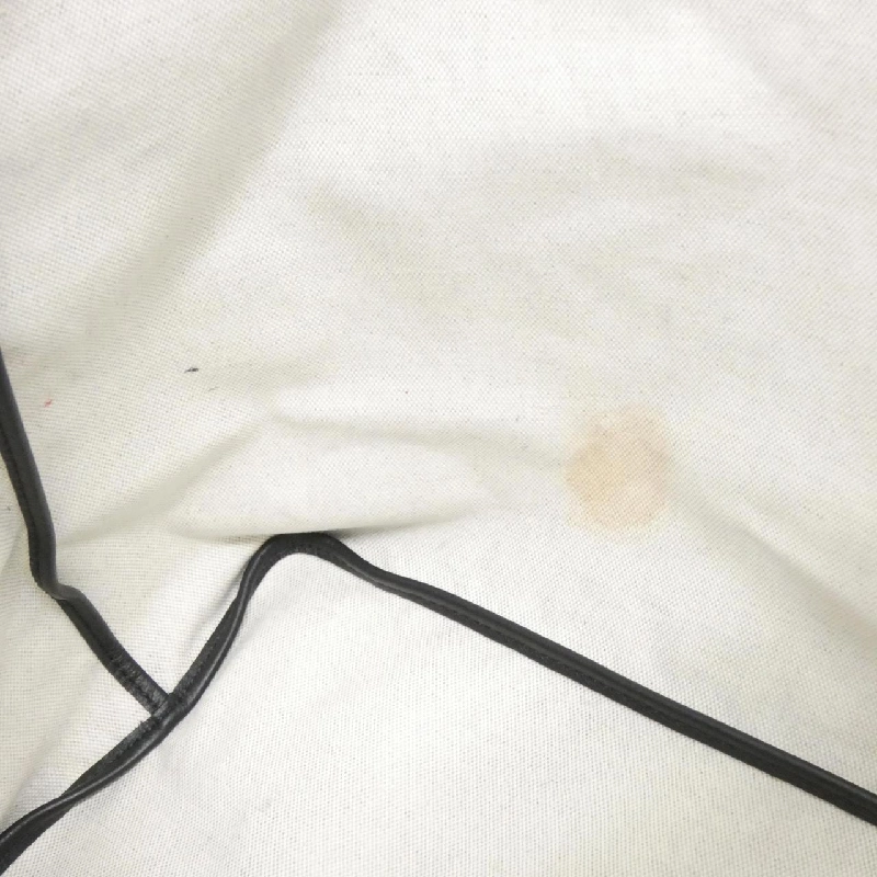 Túi Goyard Saint Louis PM AMA LOUIS PM 608667