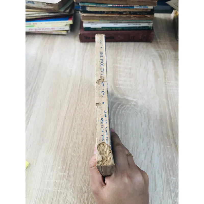 Đời sống các loài thú 1979 929091