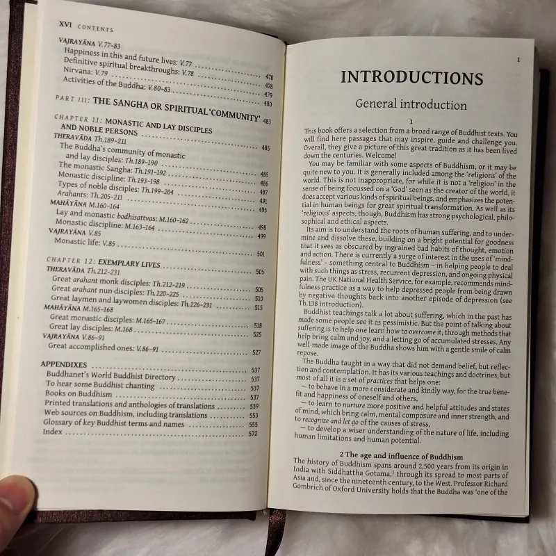 Common Buddhist Text - Guidance and Insight from the Buddha (Phật Điển Phổ Thông) 783197