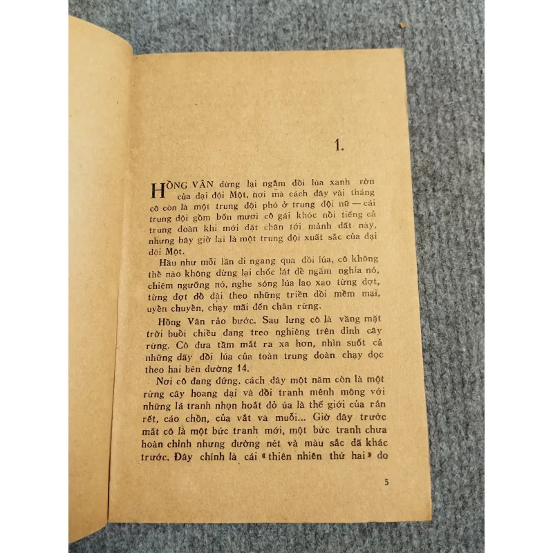 CAO NGUYÊN XANH - MINH GIANG 689531