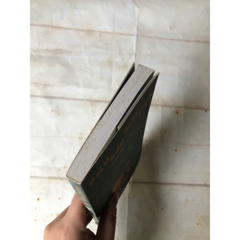 Kho Báu Mặt Trời - Mikhail Prishvin 750848