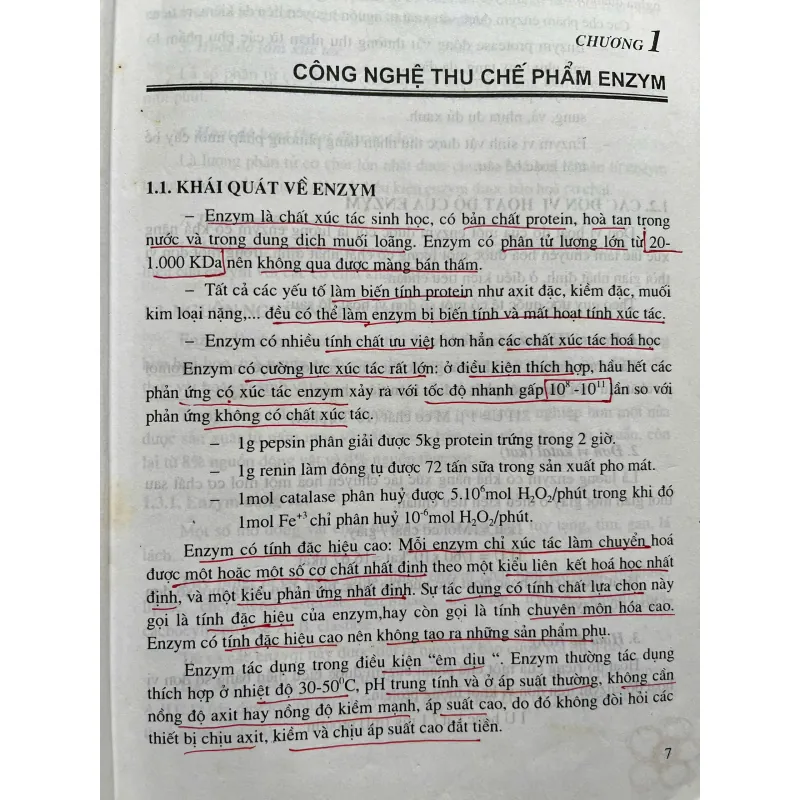 CÔNG NGHỆ ENZYM 702180