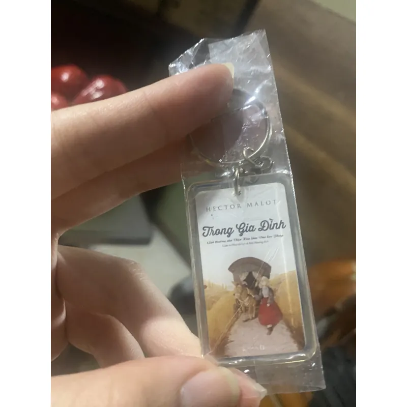 Không Gia Đình - Trong Gia Đình - Hector Malot (combo 2 cuốn) tặng kèm móc khoá bìa sách 756748