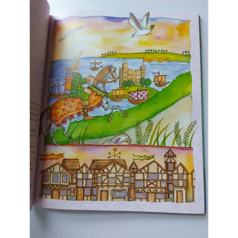 Sách Truyện The Barefoot Book of Pirates - Richard Walker, Whelan, Hope mới 90% 711962