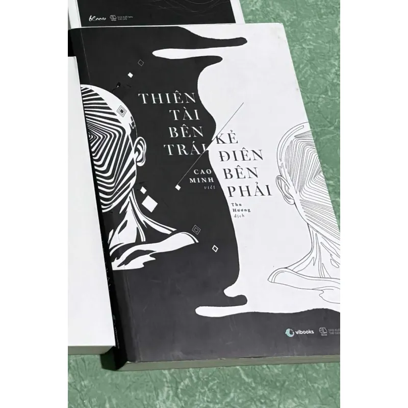 Thiên tài bên trái kẻ điên bên phải 832482