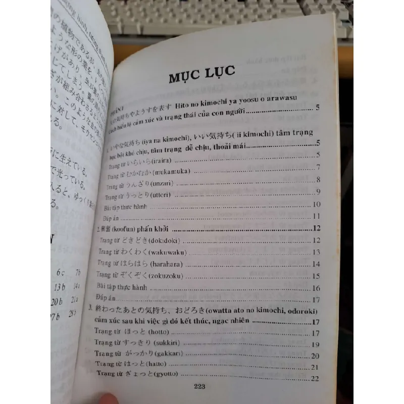 Từ tượng hình tượng thanh trong tiếng Nhật - Vinh Trân - Thùy Linh HỌC NGOẠI NGỮ HCM.TN1008 577244