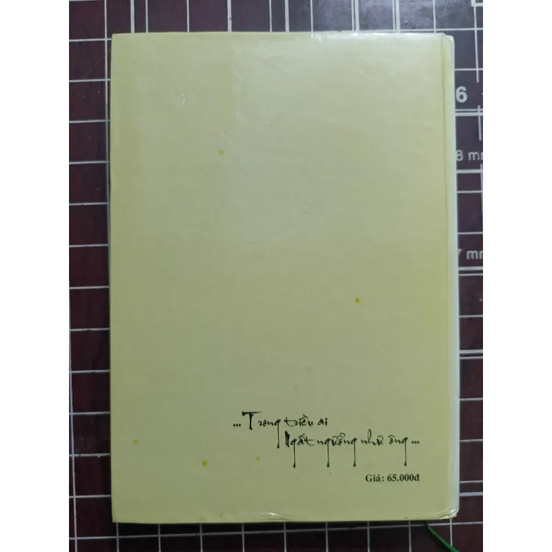 Nguyễn Công Trứ bài ca ngất ngưởng - Nguyễn Viết Ngoạn 731163