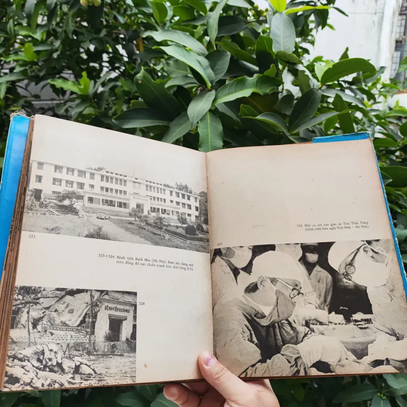 Dưới Lá Cờ Vẻ Vang Của Đảng 706340