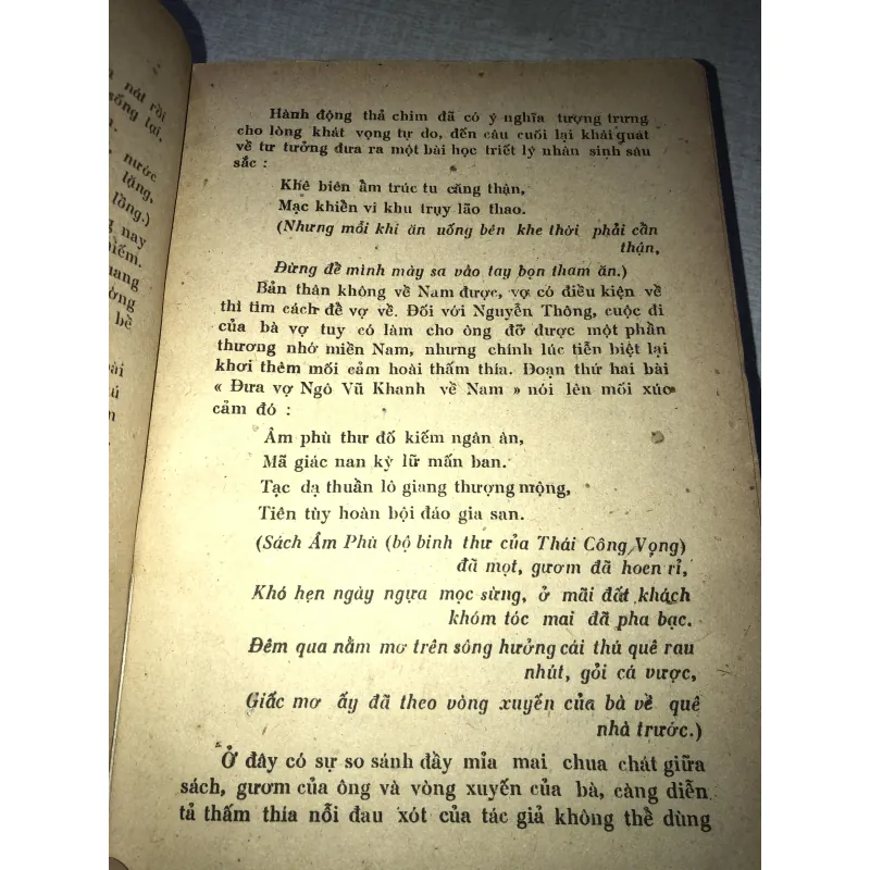 Nguyễn Thông - con người và tác phẩm 785754