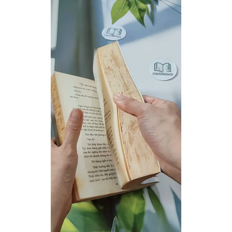 Tôi Như Ánh Dương Rạng Rỡ - Cố Mạn 744697