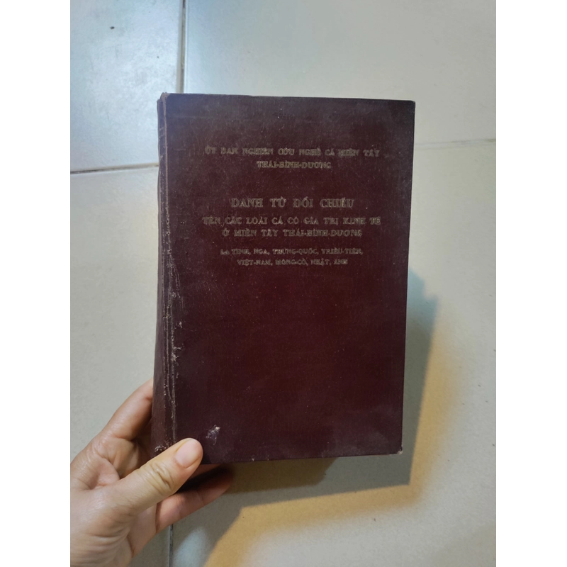 Danh từ đối chiếu tên các loài cá có giá trị kinh tế ở miền tây thái bình dương  477157