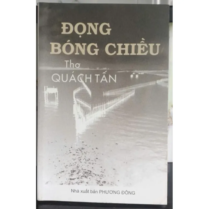 Đọng Bóng Chiều 697557