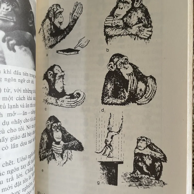 Âm sinh học lý thú- dịch từ tiếng Nga  1026243