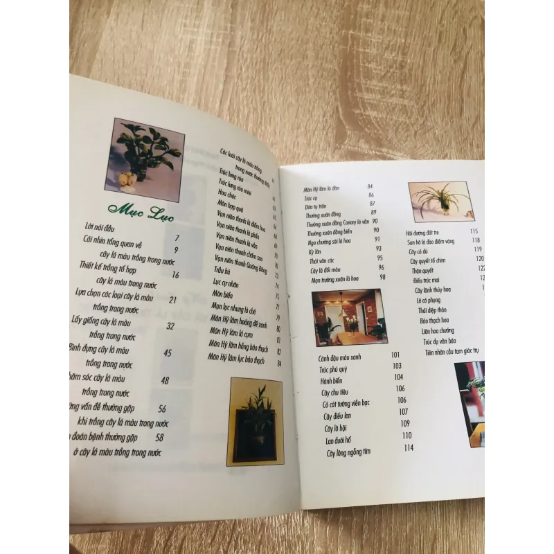 KỸ THUẬT TRỒNG HOA VÀ CÂY LÁ TRONG NƯỚC 1007309