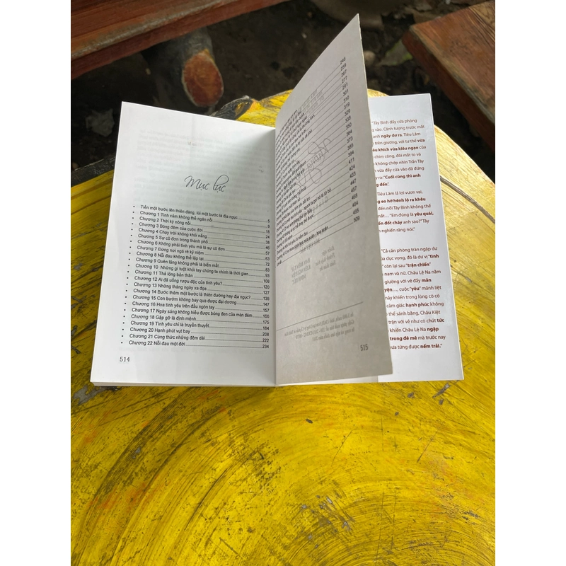 Không thể yêu- giang vũ hạm 475956